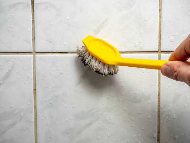 Best Residential Mold Remediation in State Center, IA